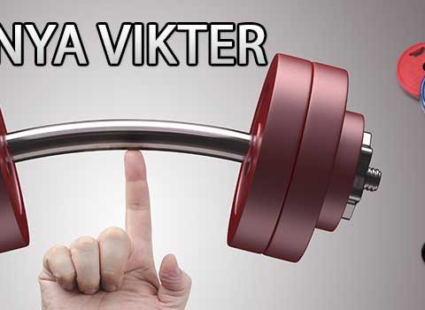 Nya 25kgs vikter
