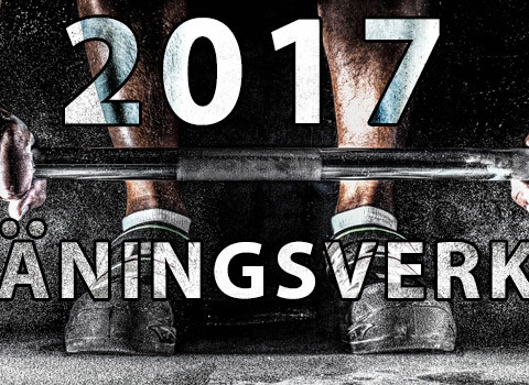 Förväntansfullt 2017!